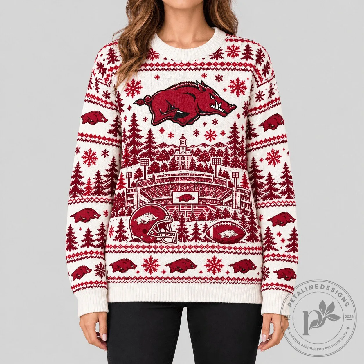 Arkansas Razorbacks NCAA Stadium Christmas Holiday Knit Sweater 1 Arkansas Razorbacks NCAA Stadium Christmas Holiday Knit Sweater